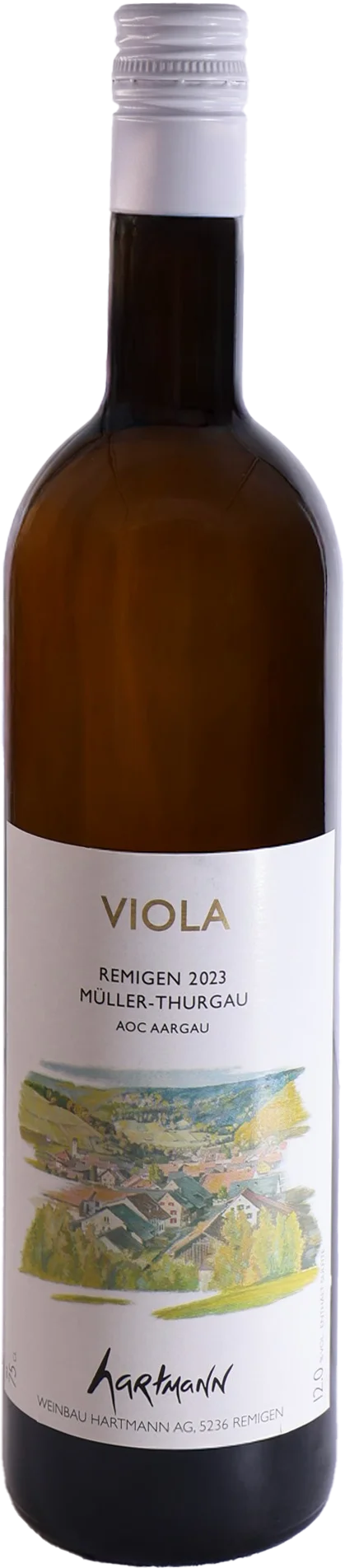 Viola