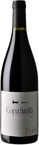 Copa Santa