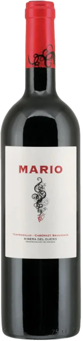 Mario